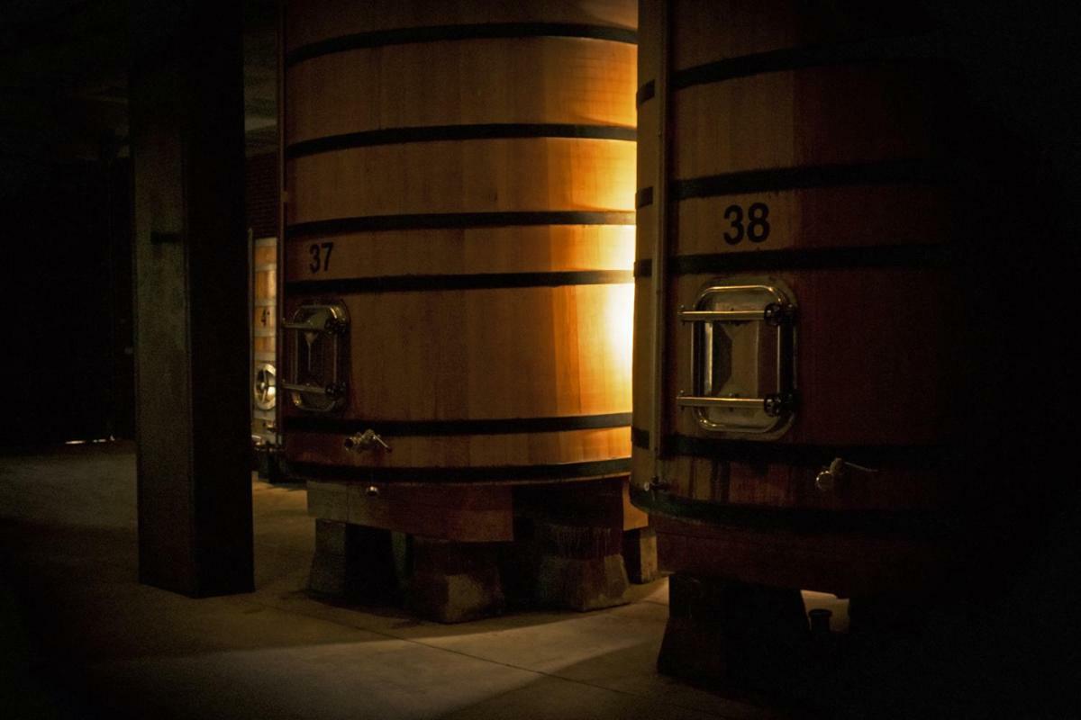 Hotel Vinicola Real-200 Monges Albelda De Iregua Bagian luar foto